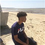 Enseignement college lycee